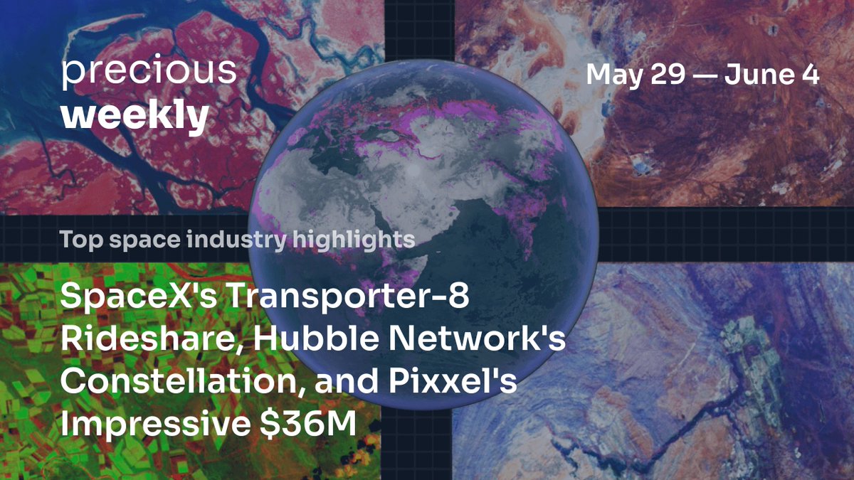 Precious Payload tweet media