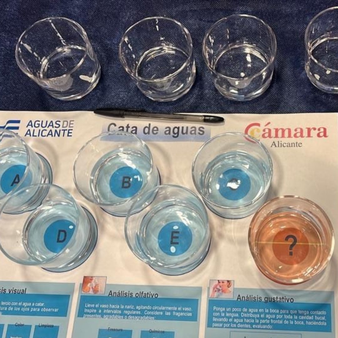 AMAEM_Oficial's tweet photo. Recibimos en el #MuseodeAguasdeAlicante al alumnado del Curso de Sumillers 🍷 organizado por la @CamaraAlicante. Nuestro compañero @DavidERibes abrió la perspectiva de la degustación a través de una interesante cata de aguas 🚰

¡Muchas gracias por vuestra visita! https://t.co/C1muEQPfYv