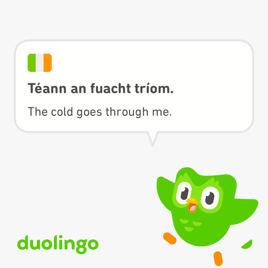 Selinde2's tweet image. 