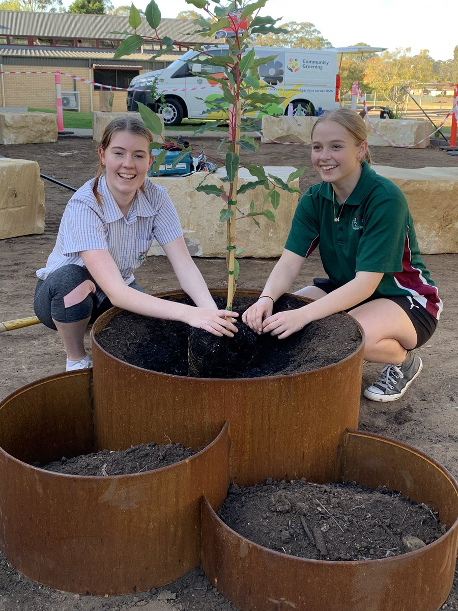 Peter Dawe tweet media