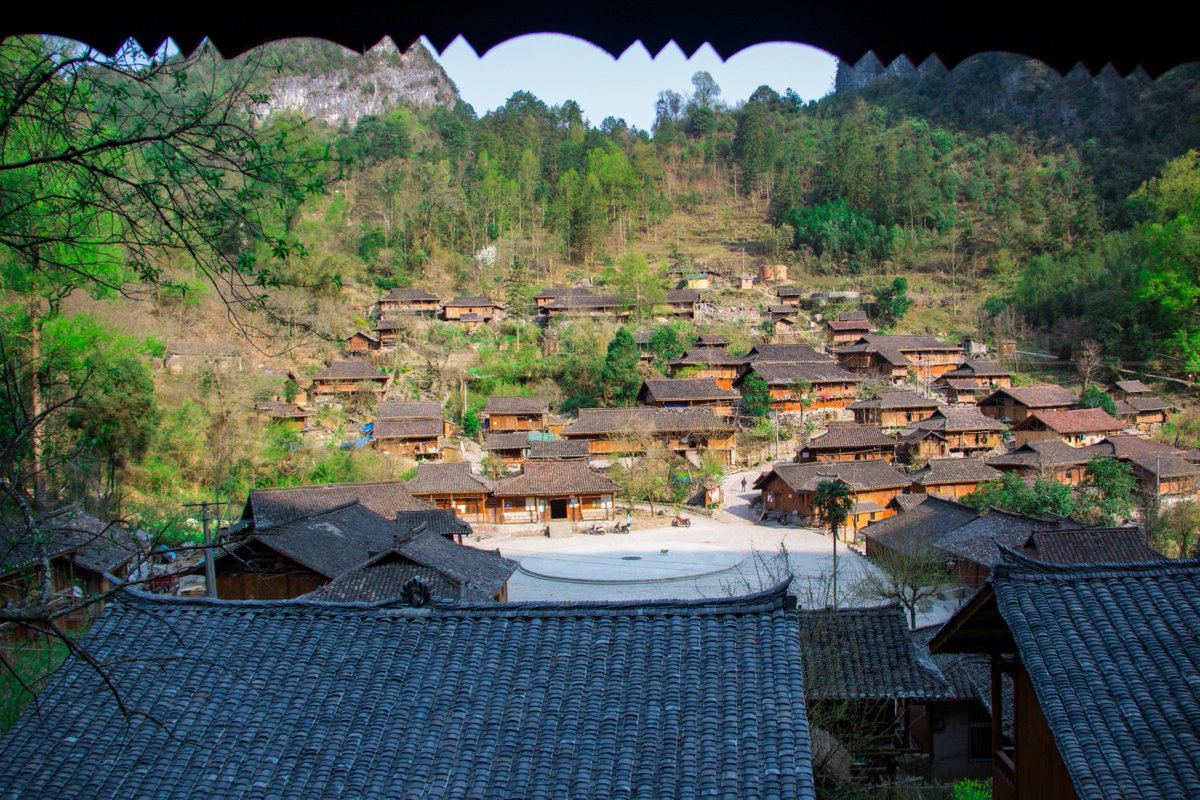 VivirenGuizhou's tweet photo. Y 1000 aldeas, incluidas #Zhenshan en el condado de #Shiban del distrito de #Huaxi y #Qinle en el vecindario de #Zhongzhuang del distrito de #Honghuagang, se han incluido en el proyecto modelo de revitalización rural de Guizhou.🥰🥰
📷 by Eyesnews
#rural #fueradelapobreza https://t.co/Y5ZkMLGbeb