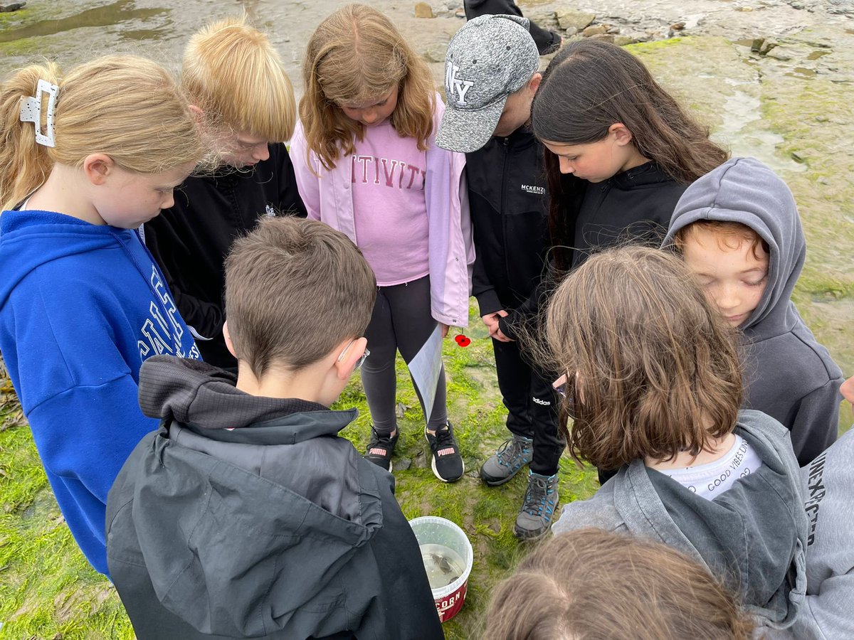 Lakeside_school's tweet photo. Loving life at the beach #RHB #rockpoolfun https://t.co/ztmst1Nmu2