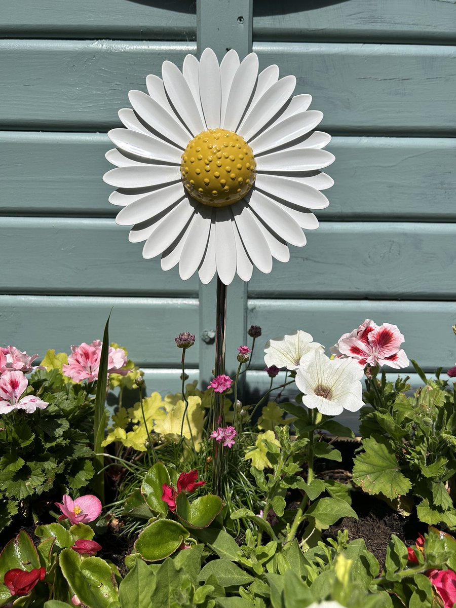 CityHospice's tweet photo. How beautiful does our #ForeverFlower look in The Secret Shedโs flower bed ๐
#DedicateADaisy and remember someone special this summer here: https://t.co/s3pNqcVd37 https://t.co/NueaTrTn7R