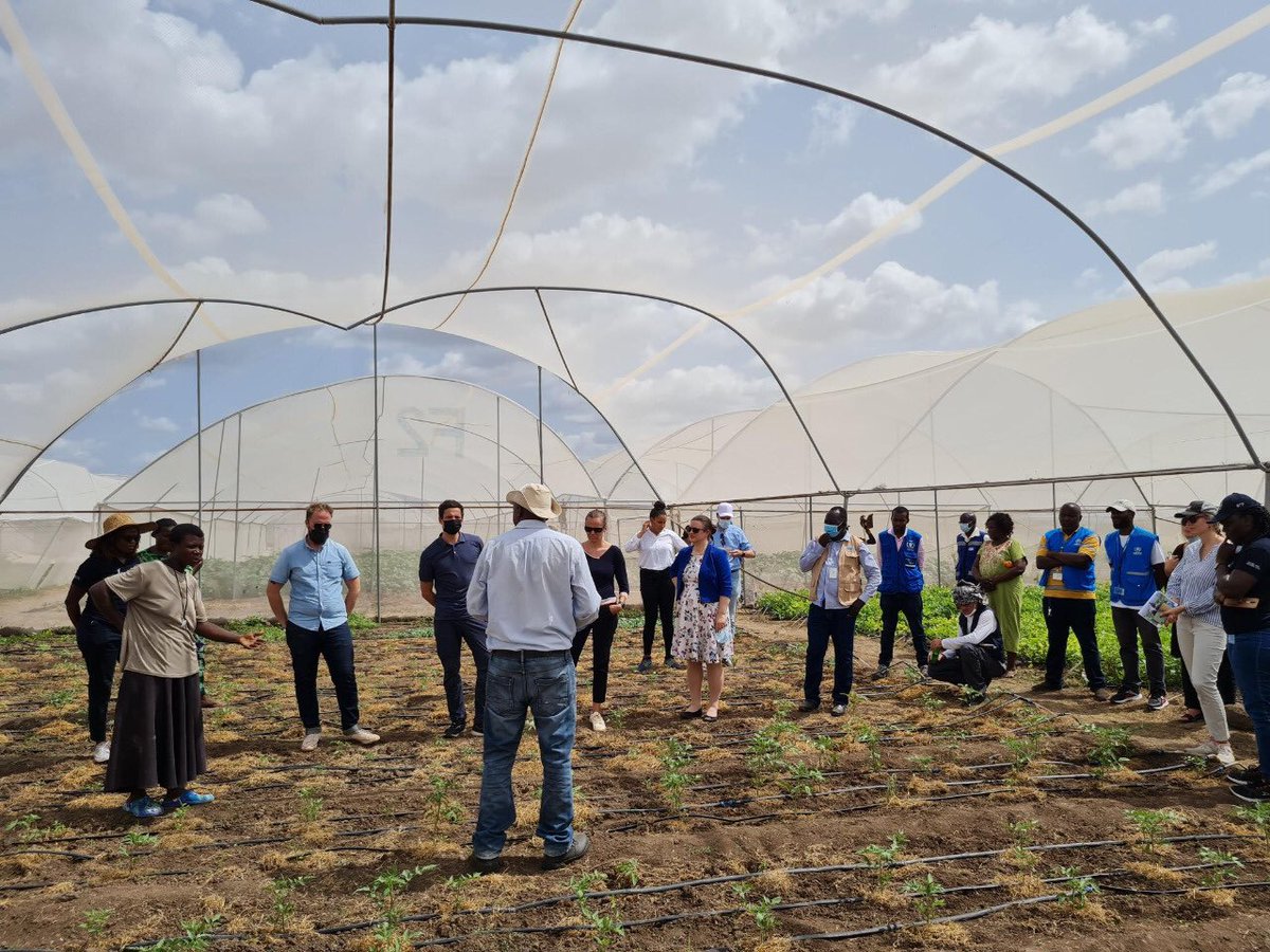 The EU   and Kenya are partnering for a green future. Through the #GreenDeal we focus   on Renewable Energy, Biodiversity, Sustainable Transport and Climate Action. The #GenerationGreen   campaign wants to hear your ideas on what more we can do. #EUGreenWeek #EUGreenDeal