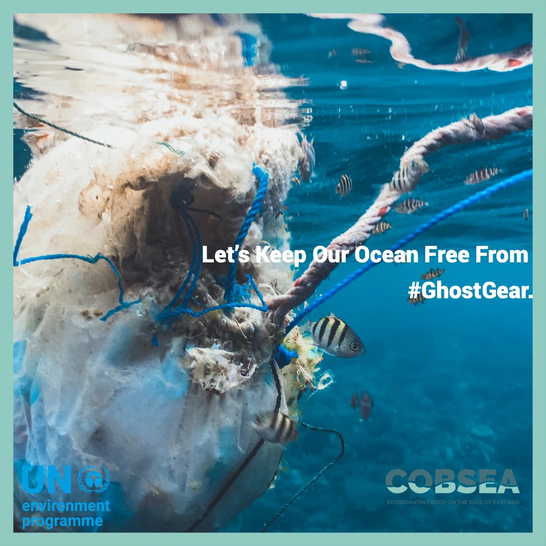 🔎🔧 Unlock the secrets of #GhostGear retrieval with <a href="/UNEP_COBSEA/">COBSEA Secretariat</a>'s #GhostGear videos👉bit.ly/GG_VIDEOS.

From planning to disposal, it’s got you covered.

Join the mission to rescue our oceans from the clutches of #GhostGear! 🌊 

#GhostGearRetrieval #OceanConservation