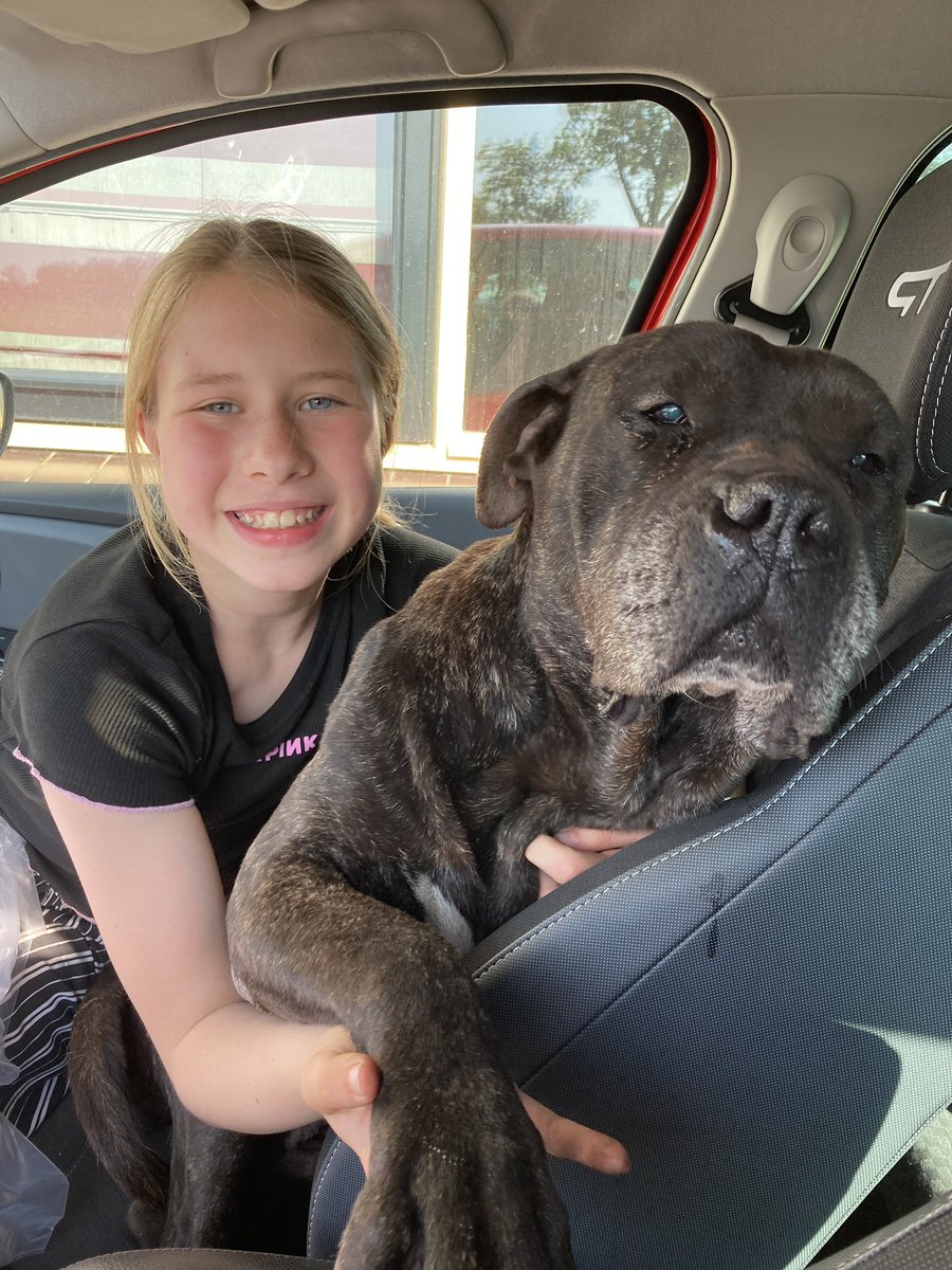 My dog first scared me by walking outside our house instead of staying in our backyard (still don’t know how she got out 🤔), but then she just jumped into my car just to sit on my daughter’s lap!! Just hilarious!! And let’s not forget: our Coco is 10 years old!!! Crazy girl…