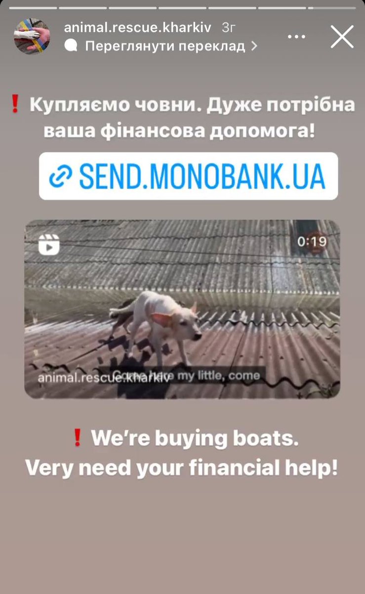 cinamonum_'s tweet photo. РТ!!! 

харківські animal.rescue евакуюють тварин в херсоні

‼️ДУЖЕ ПОТРІБНІ МОТОРНІ ЧОВНИ‼️

якщо є змога передати, то ось контакт 0999218262

зараз збирають на купівлю човнів та утримання тварин, посилання на банку:
https://t.co/ie3fASY4T1 

закиньте грошенят по можливості😭 https://t.co/IZhV7DxyeY