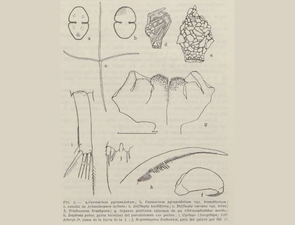 PN_Guadarrama's tweet photo. El 29 de abril de 1949, el que sería el ecólogo de referencia en España, Ramón Margalef, visitó el macizo de Peñalara, acompañado de Emilio Fernández-Galiano, director del Museo Nacional de Ciencias Naturales y tomaron muestras de algas microscópicas e invertebrados
👇 https://t.co/FG968BCyZK