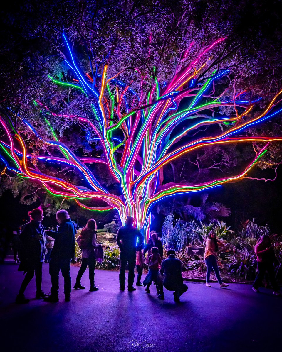 A few more shots from <a href="/VividSydney/">Vivid Sydney</a> ✨💫💚💙#sydney #vividsydney #Australia