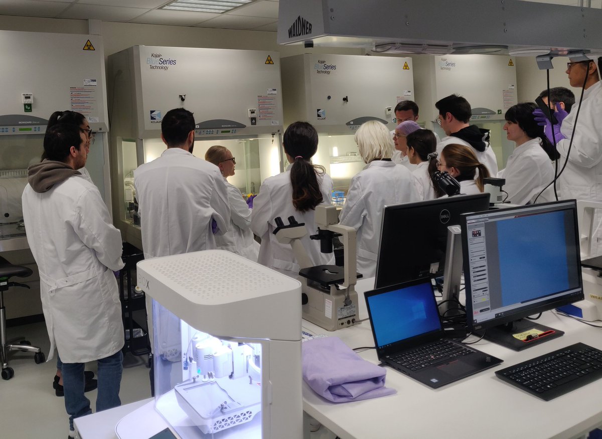 AnniMoro's tweet image. This week our Team @SkottmanL @TampereUniMET @TampereUni is hosting and international summer school for cornea researchers and clinicians from @AniridiaNet 🧫👩🏼‍🔬

Here, the #3Dbioprinting of living cells and infrastructure at our uni is demonstrated.
 #bioinks