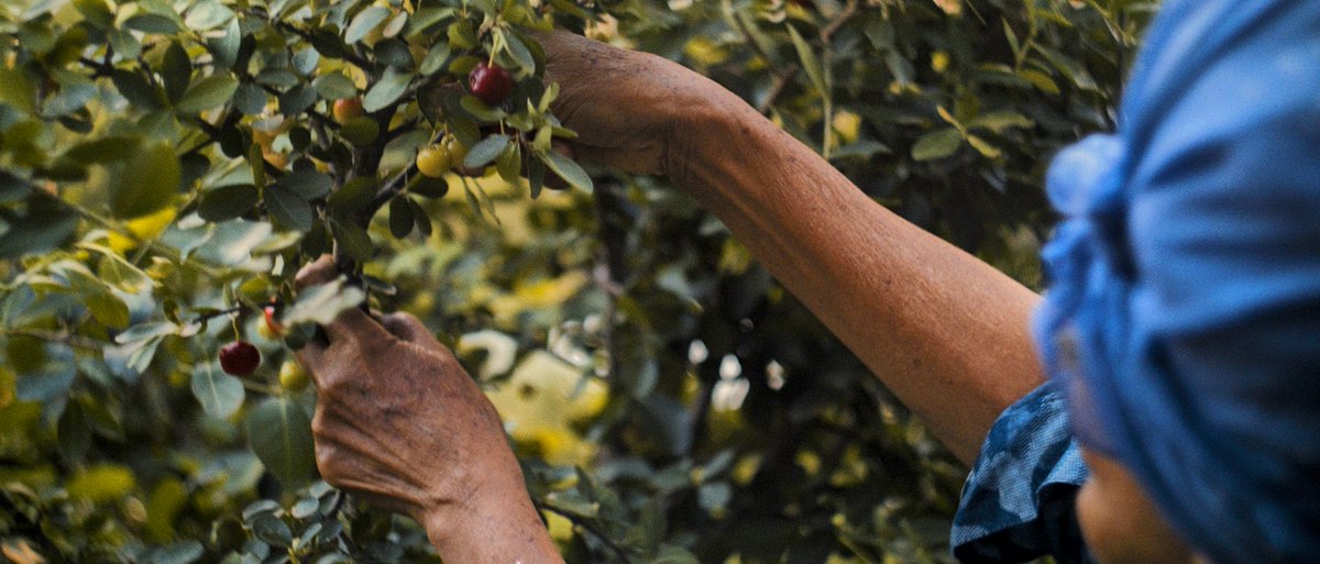 jonis2jonis's tweet image. Voelt alsof ik de laatste tijd mijn camera begrijp #blackmagic #helios #ursa