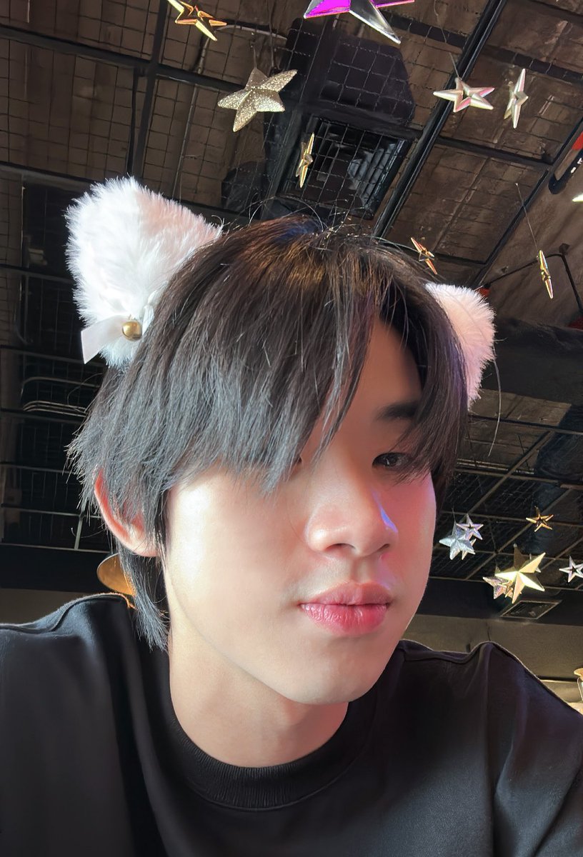 ฮงชิโฮชิ tweet media
