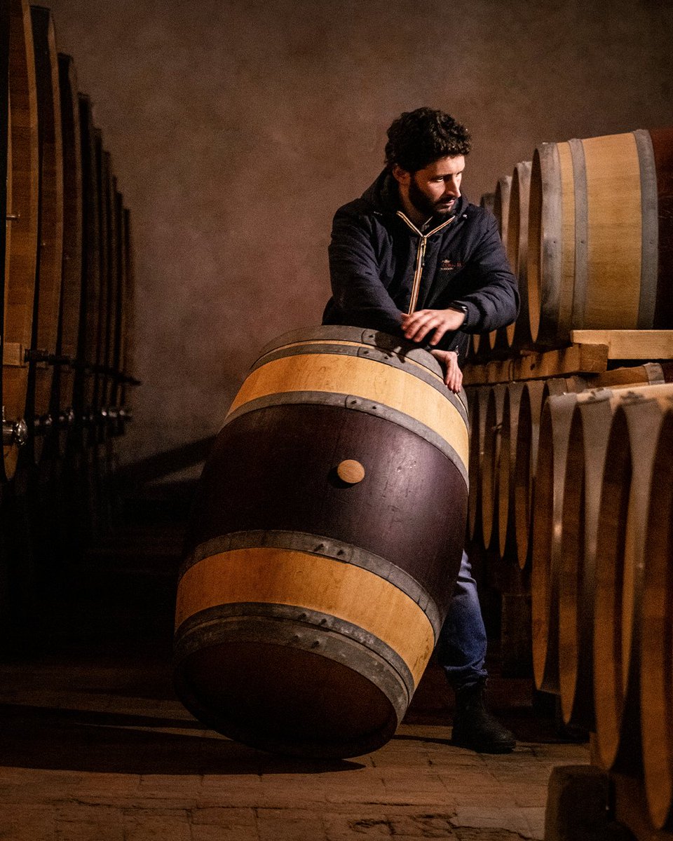 Every day at Castello Nipozzano, our barriques teach us the art of knowing how to wait.

#Frescobaldi #MarchesiFrescobaldi #FrescobaldiVini #ToscanaDiversity