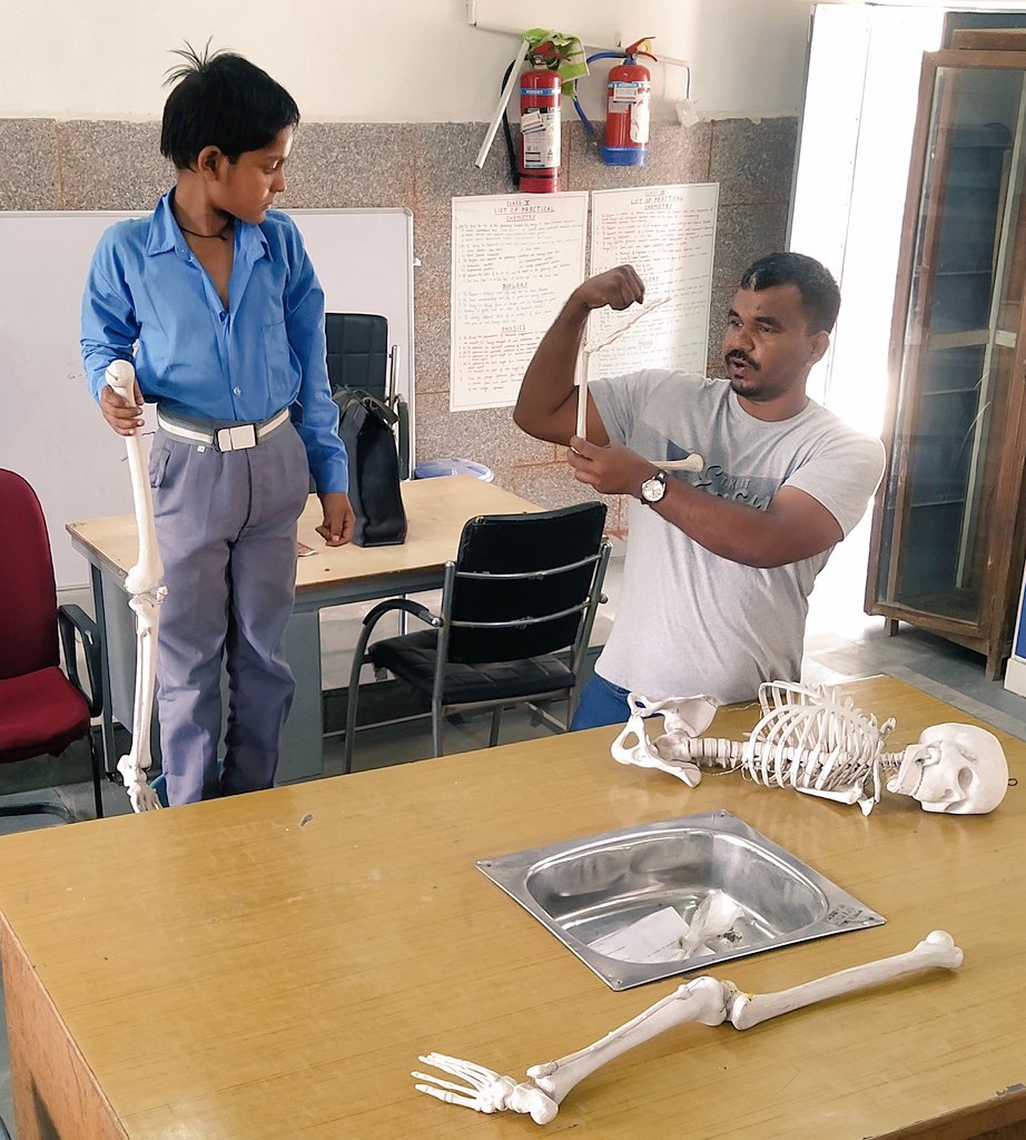 Inder_sut's tweet photo. Learning By Doing
#GBSSS_LADPUR
DEMONSTRATION OF BONE AND JOINTS
#Job_nhi_junoon
@Dir_Education 
@DSTF_2020 
@SCERT2021 
@gupta_iitdelhi 
@AmardeepDabas2 
@dilli_shiksha https://t.co/BdvmWM1FK0