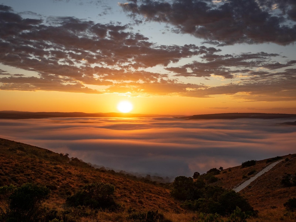 Amakhala Reserve tweet media