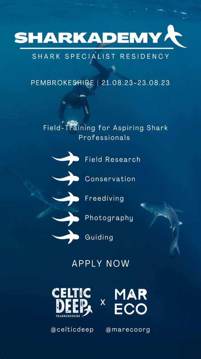 mareco_org's tweet photo. Wanna develop your professional #shark skills? Fully-funded 3-day course in Pembrokeshire this summer! More info on the thread below, including how to apply
#freecourse #UKsharks #opportunity #sharkresearch https://t.co/YdECXBLYck