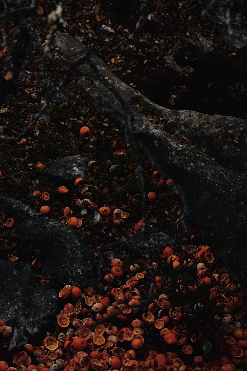 Alexandre Baudet tweet media