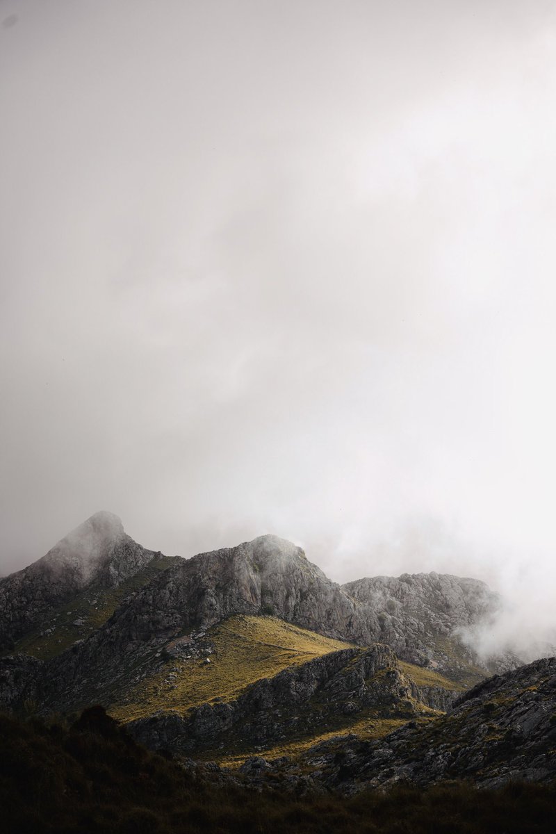 Alexandre Baudet tweet media