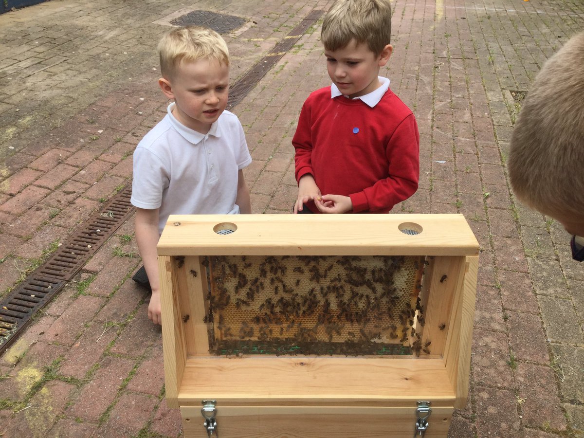 Cardiff2021's tweet photo. Great work yesterday observing our bees then drawing and labelling them! @LlanmartinPrim #ecofriendly #bees #ethicalinformedcitizens https://t.co/wP7nzs8Zm3