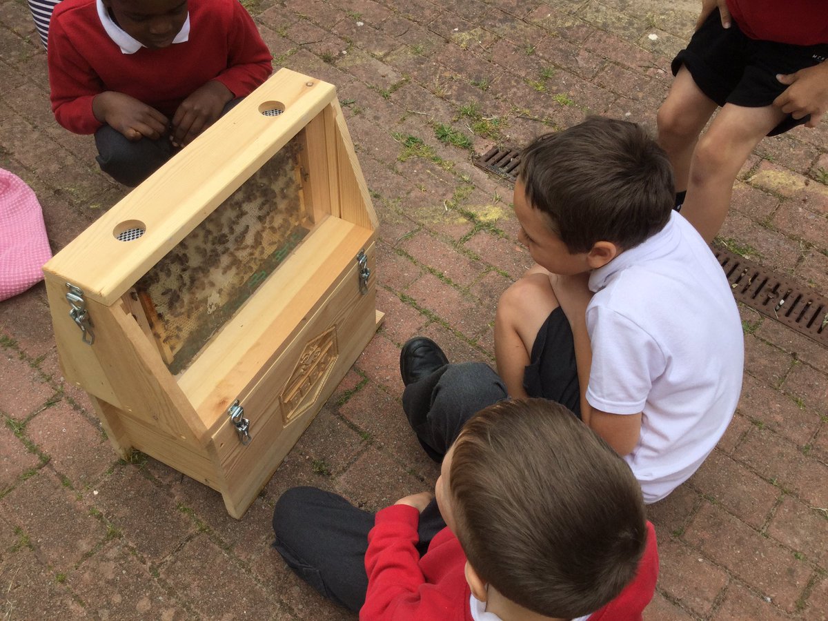 Great work yesterday observing our bees then drawing and labelling them! @LlanmartinPrim #ecofriendly #bees #ethicalinformedcitizens
