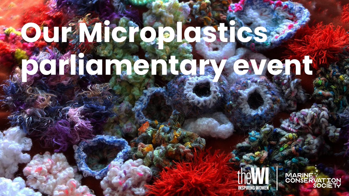 mcsuk's tweet photo. We’re hosting a drop-in session today at Westminster with @WomensInstitute to gain support from MPs for government action on microplastics, including legislation to ensure all manufacturers fit washing machines with microfibre filters. #StopOceanThreads
https://t.co/JQ2knVfjvA https://t.co/L7xsHnpB4X