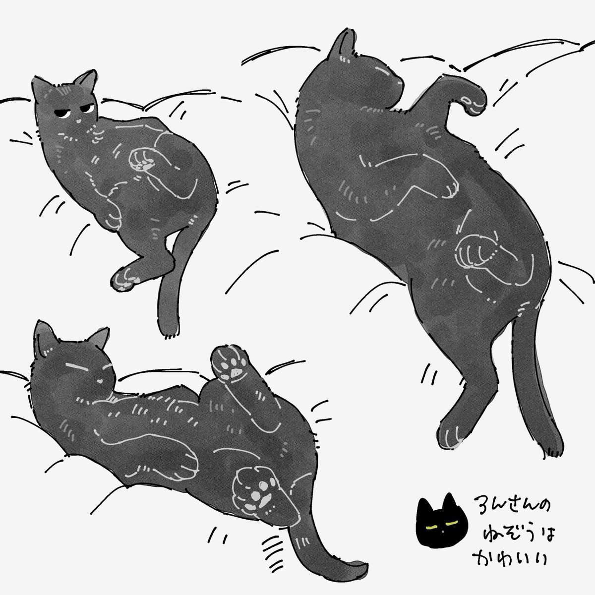 ねこのだらけきった寝相からしか摂取できない栄養素があるな…て思いながら眺めてる