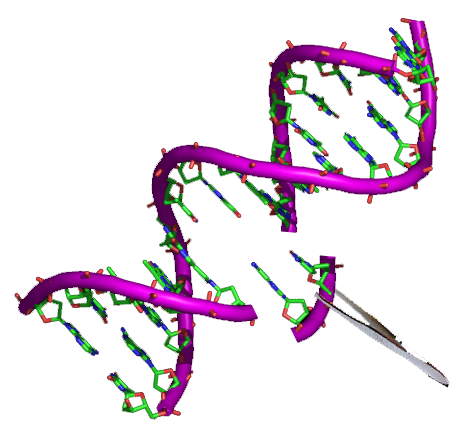 #Opastpublishers

Invitation to share your expertise with the Journal of Genetic Engineering and Biotechnology Research ISSN:2690-912X

#DNAfingerprinting #epigenetics
#epigenome #GeneticSyndromes