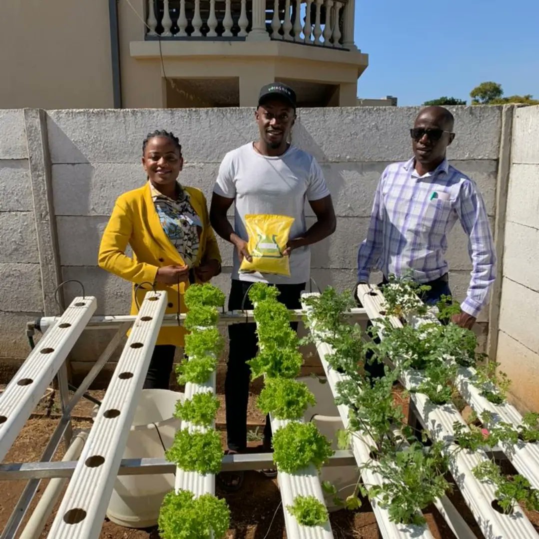 myvitagrow's tweet photo. We had the @zfclimited team over to our site today to get an update on the tests being conducted for the different products we are working on together.

#zfclimited #productdevelopment #hydroponics #myvitagrow #urbanfarming https://t.co/uDTKFx64iE