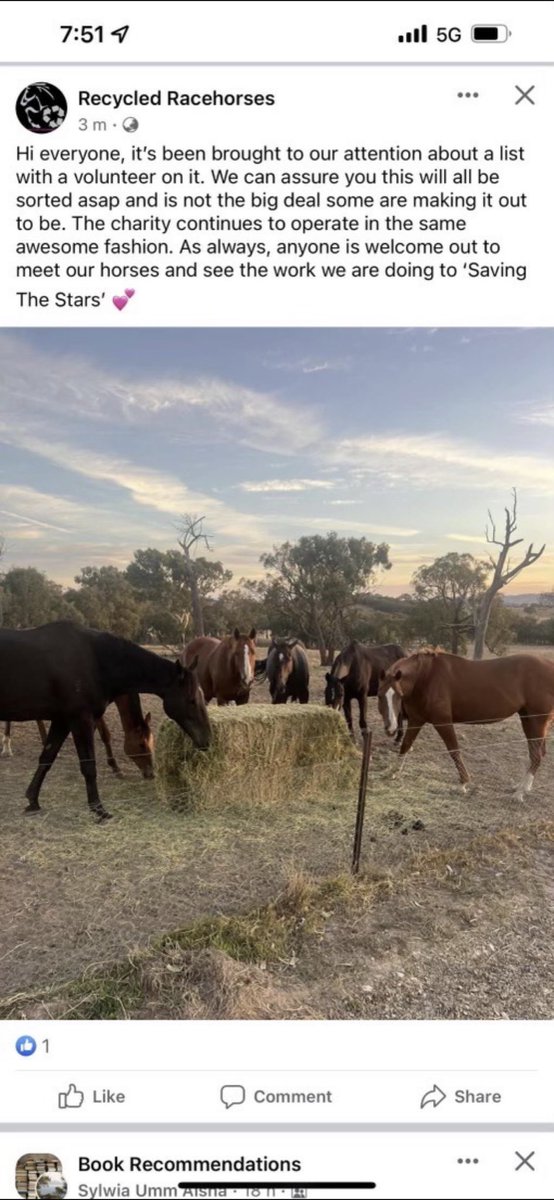 staceyropa1's tweet image. #damagecontrol or #blamegame?! @racing_nsw @RNSWStewards