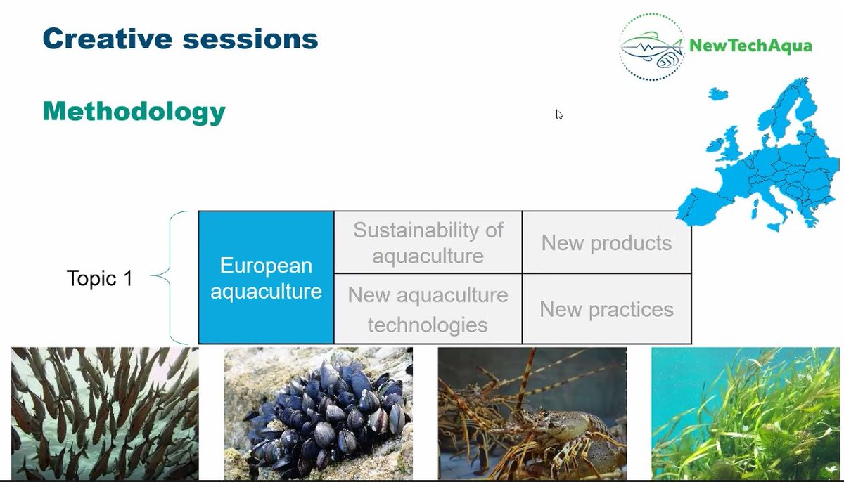 💥 Thanks to all participants and panelists from
@futureeuaqua @nofima & @irtacat who have joined today the @NewTechAqua webinar on #SustainableAquaculture at #EUGreenWeek. 

✔️Organised by @CIHEAMZaragoza & @CIHEAMBari 

Don't miss the next one!  #NTAWebinarSeries