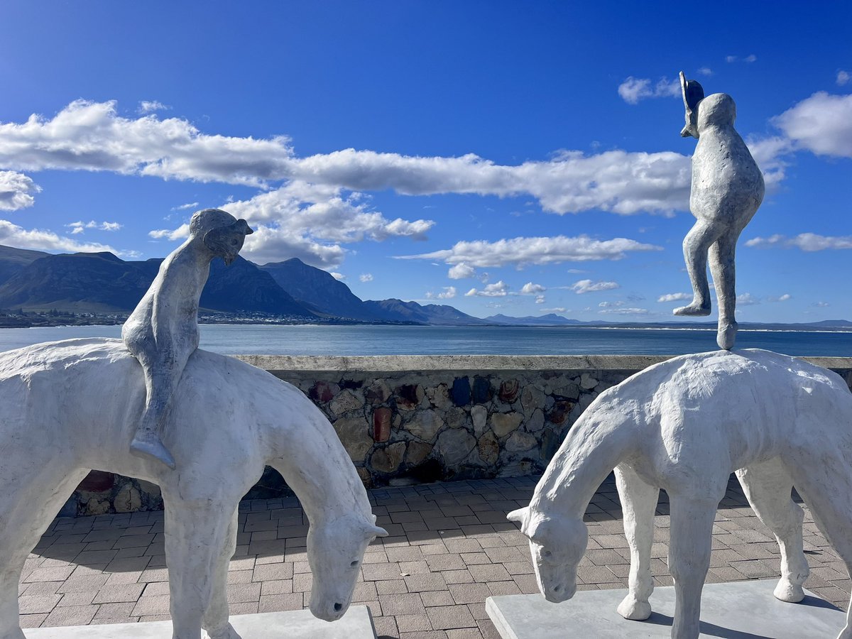 HermanusTourism's tweet photo. Heads in the clouds type of day in Hermanus. #fynarts https://t.co/zRM7JDIAKM