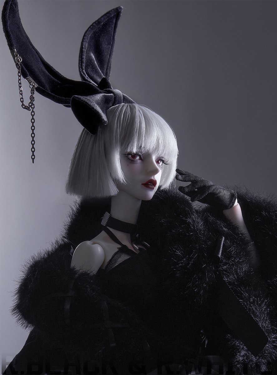 お知らせ】DOLL ZONEより、期間限定ドールが登場です✨ 人気