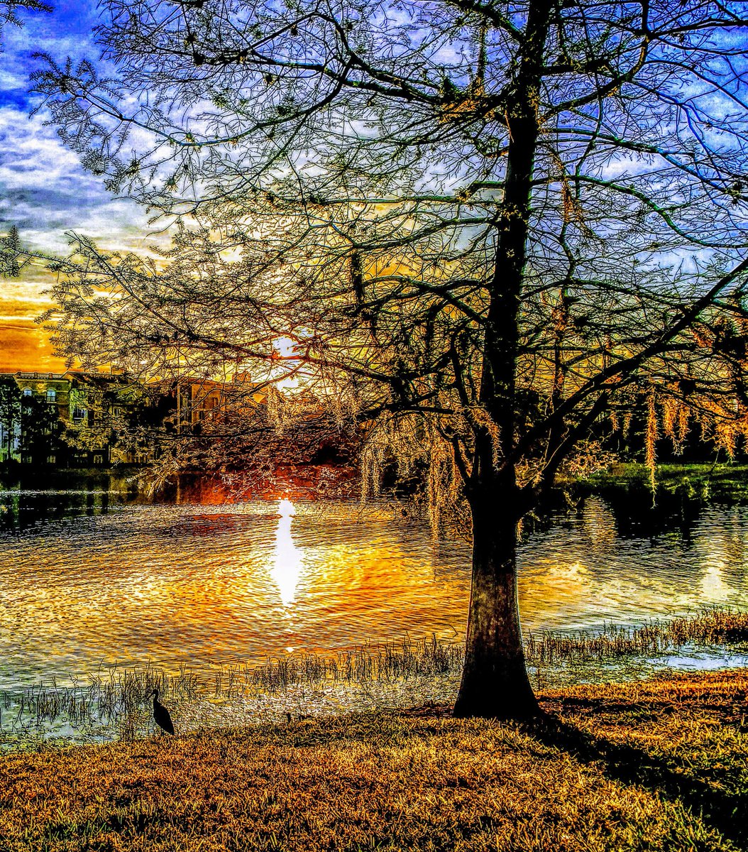 ruben_corella's tweet photo. #landscapephotography #landscape #Landscapes #landscapelovers #loverspark #park #parque #paisaje #paisajes #paisajismo #lago #loch #lake #lagoon #dusk #sunset #trees https://t.co/5DyucNSWAu
