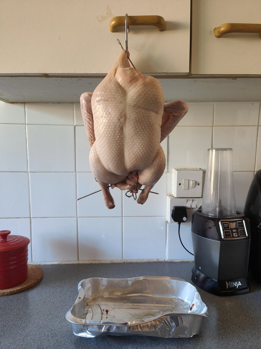 First time making Cantonese roast duck this week. Very very happy with the results 🥹❤️