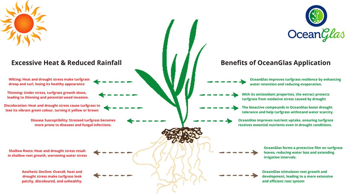 Ocean Knowledge tweet media