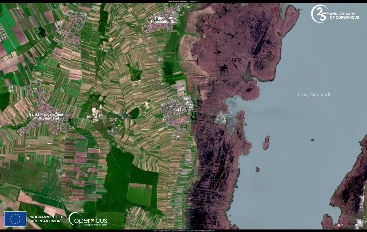 #ImageOfTheDay

In #Austria 🇦🇹, the wine industry is exploring solutions to address the challenges stemming from #ClimateChange 

In Rust, winemakers are switching to alternative grape varieties 🍇, more resilient to high temperatures🌡️

🔽#Sentinel2 image of 1 June