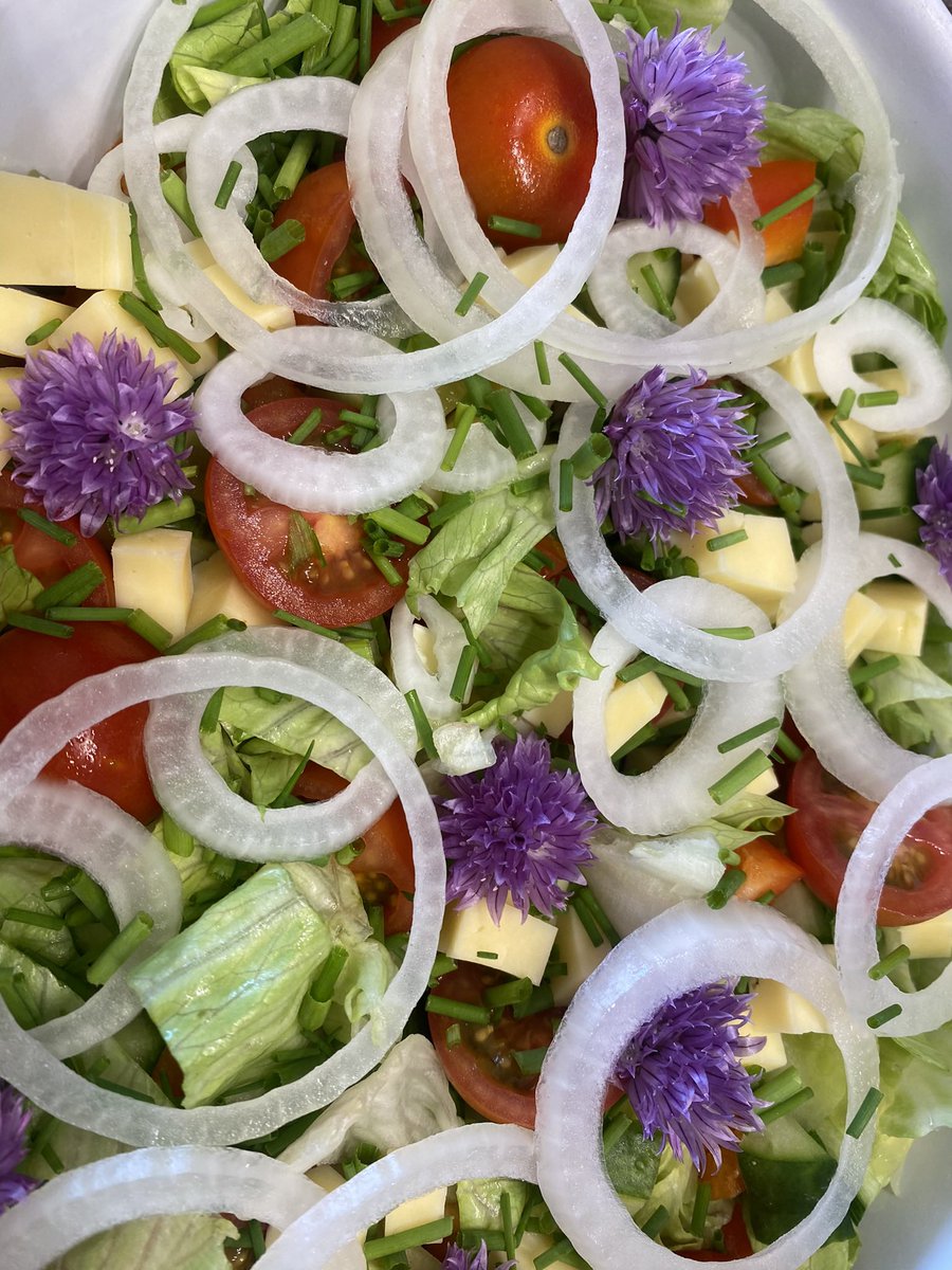 Edible chive flowers added as a garnish to one of todays side salads @ImpactMAT #kirklees #calderdale #salad 🥗