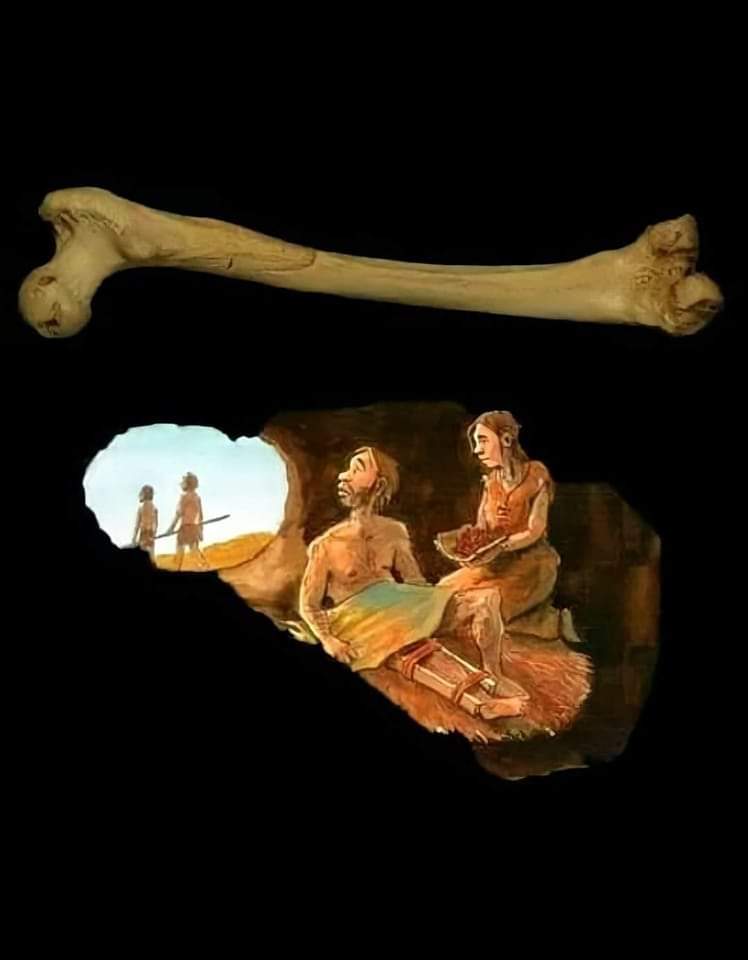 ️️En una conferencia, un estudiante universitario preguntó a la antropóloga Margaret Mead, cuál consideró que era el signo más antiguo de civilización en una cultura. 

El estudiante esperaba que hablara de lanzas, ollas de arcilla o piedras de moler. Pero no, Mead respondió