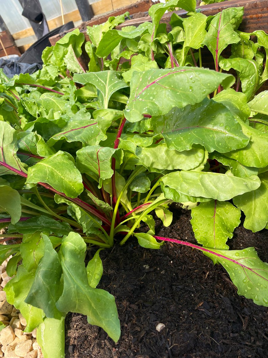 Miss Kelly tweet media