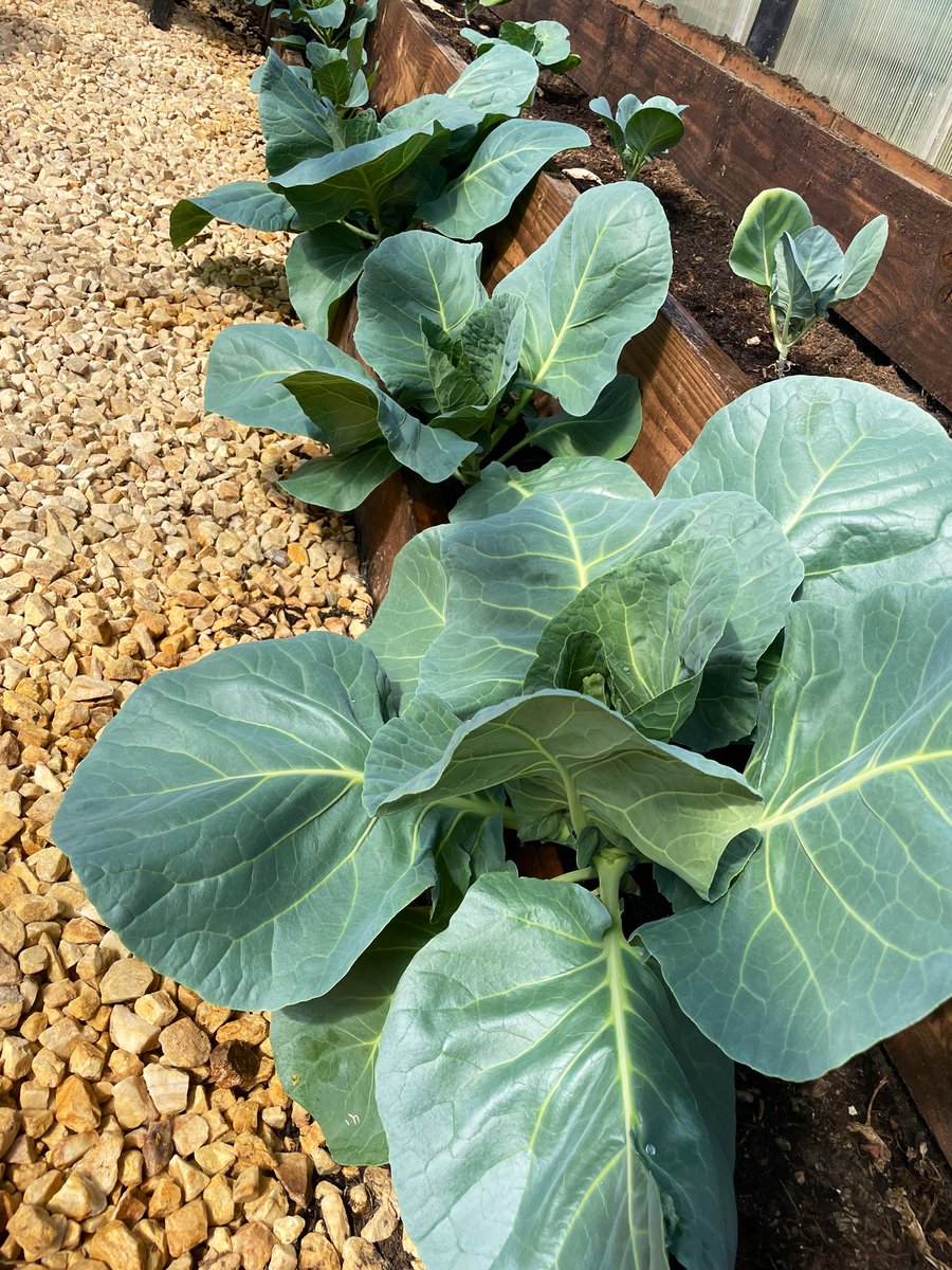 Miss Kelly tweet media