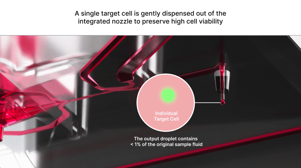 ✦ Hey everyone! ✦ I'm excited to share some stills from a recent animation project I worked on! Follow this link to view a snippet of the animation: ss-design.site/work/3d-medica…
.
#cellbio #SingleCell #biotech #CellSorting #CellTherapy #sequencing #microfluidics #medicalanimation