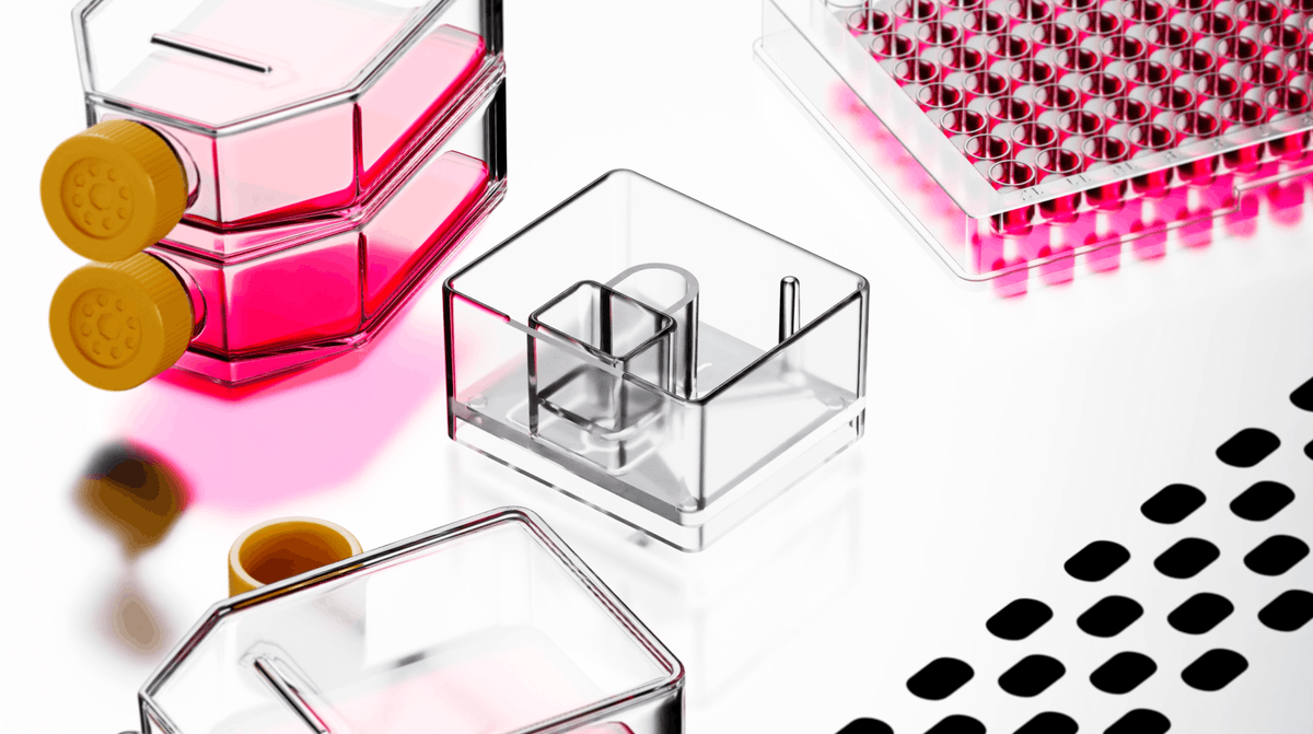 Shehryar (Shay) Saharan tweet media