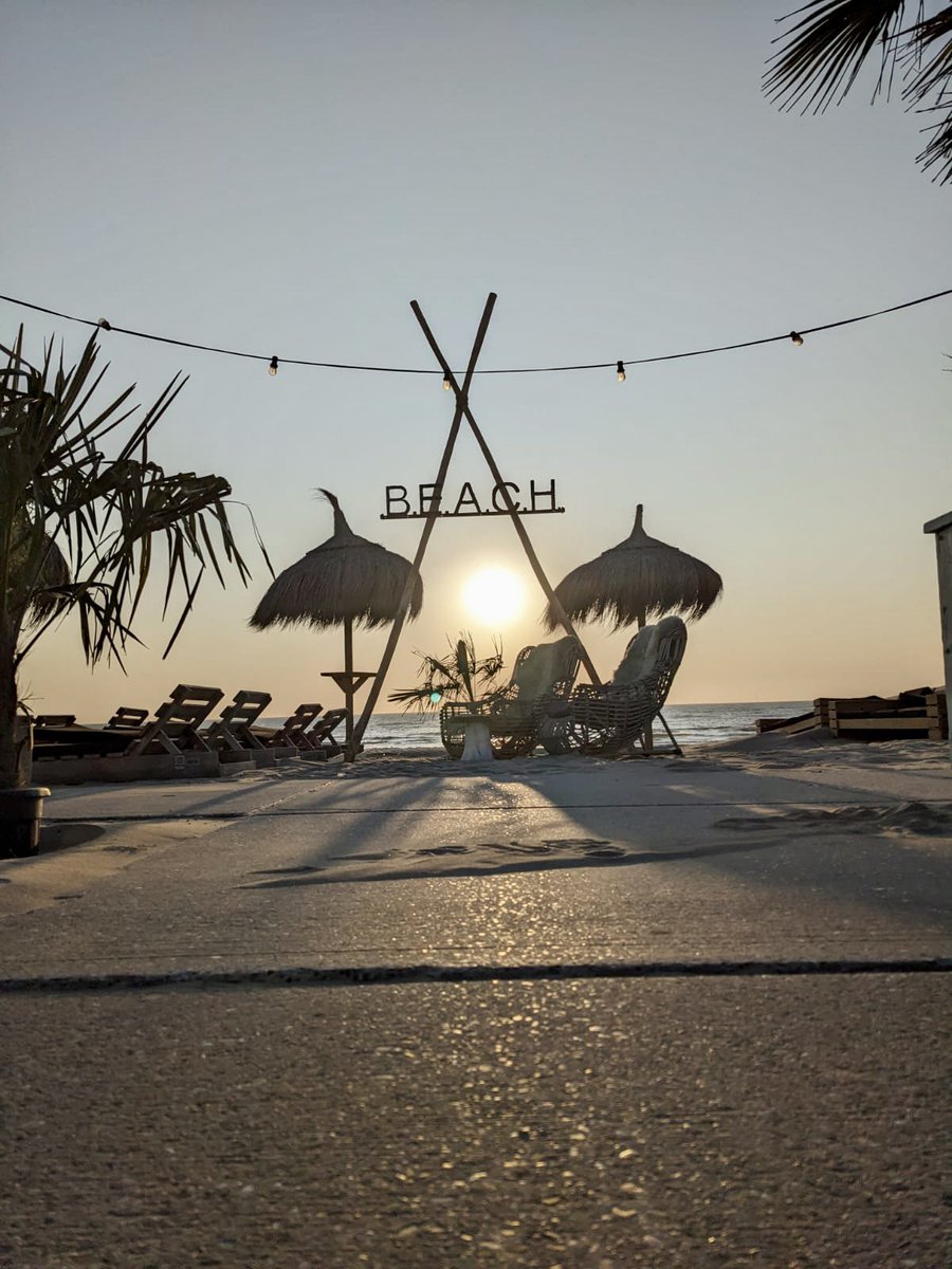 Bomont Pascale tweet media