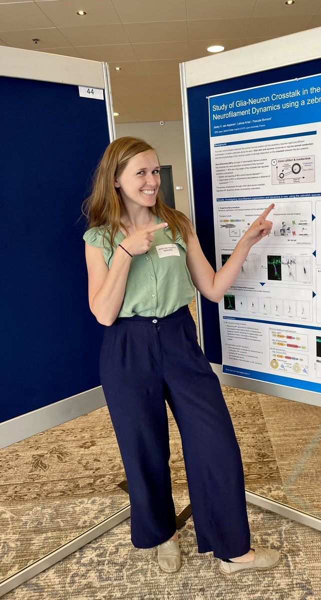 Bomont Pascale (@pascalebomont) on Twitter photo What a fantastic meeting <a href="/EuroIF2023/">European Intermediate Filament Meeting 2023</a> in the Netherlands. top organizers <a href="/elly_hol/">Elly Hol</a> & friends. Excellent science & great spirit ππ¦ here some memories & pic of <a href="/Jessyva5/">Jessy van Asperen</a> on her poster πππ What a fantastic meeting <a href="/EuroIF2023/">European Intermediate Filament Meeting 2023</a> in the Netherlands. top organizers <a href="/elly_hol/">Elly Hol</a> & friends. Excellent science & great spirit ππ¦ here some memories & pic of <a href="/Jessyva5/">Jessy van Asperen</a> on her poster πππ