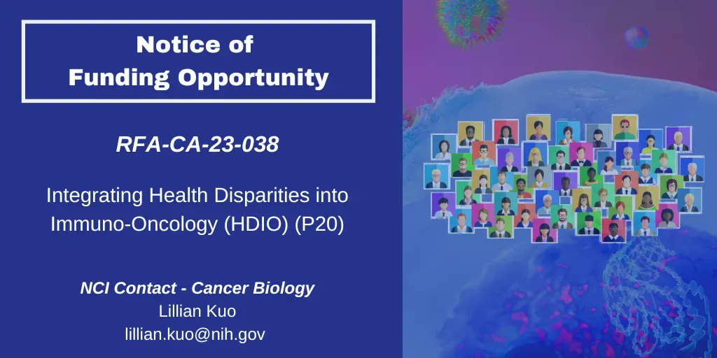 Learn more about @theNCI #FundingOpportunity that supports planning and feasibility studies to integrate cancer #healthdisparities into #ImmunoOncology research: grants.nih.gov/grants/guide/r… #CIM23