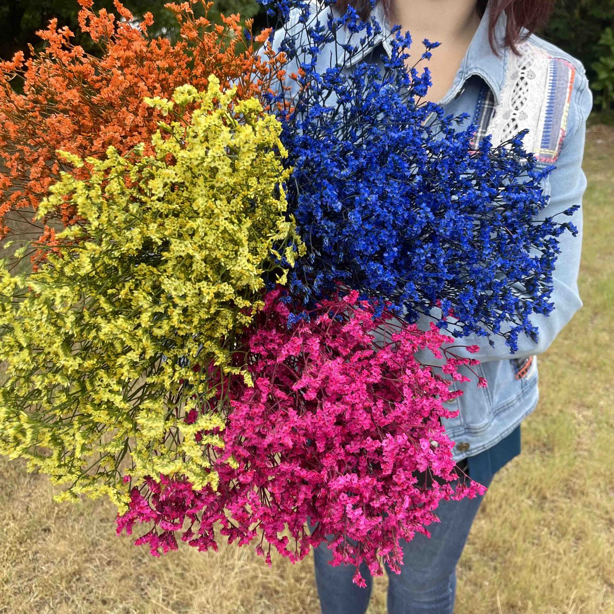 If you’re looking for colorful you’re in the right place! 🧡💛🩷💙
.
.
#steinflorist #steinyourflorist #flowers #florist #flowershop #floristry #shopsmall #shoplocal #smallbusiness #phillyflorist #philadelphiaflorist #NJflorist #colorful #beautiful