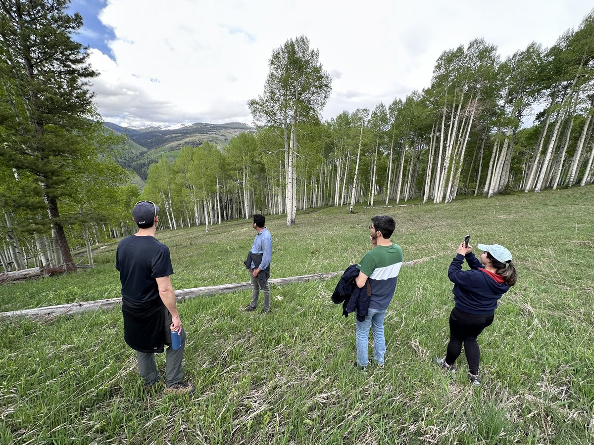 Sharifi_UKY's tweet photo. Nothing beats a great hiking with Wenk’s lab (not on Twitter) after attending many scientific sessions at #SB3C. 
Photo credits goes to @azisdght
@SB3Corg @PhDVoice @PostdocVoice https://t.co/T5mpcGtCAf