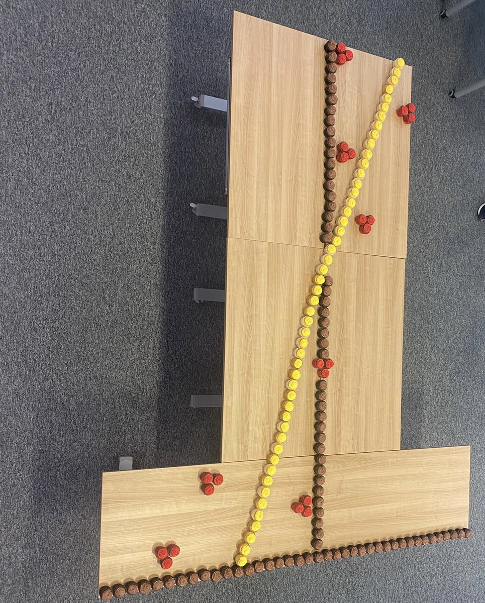 Yummy SNARC celebrations!! Represented by cupcakes 😋😋