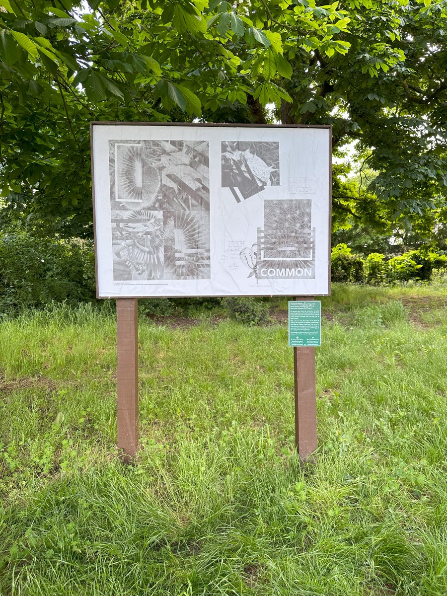 Bethlem_Gallery's tweet photo. As part of our #ElsewhereExhibition programme, 6 Bethlem artists are taking part in a residency with #TurfProjects at Wandle Park and across #Croydon!
Find out more:
https://t.co/HhnUpGZLQu https://t.co/p0yYlWJZQb