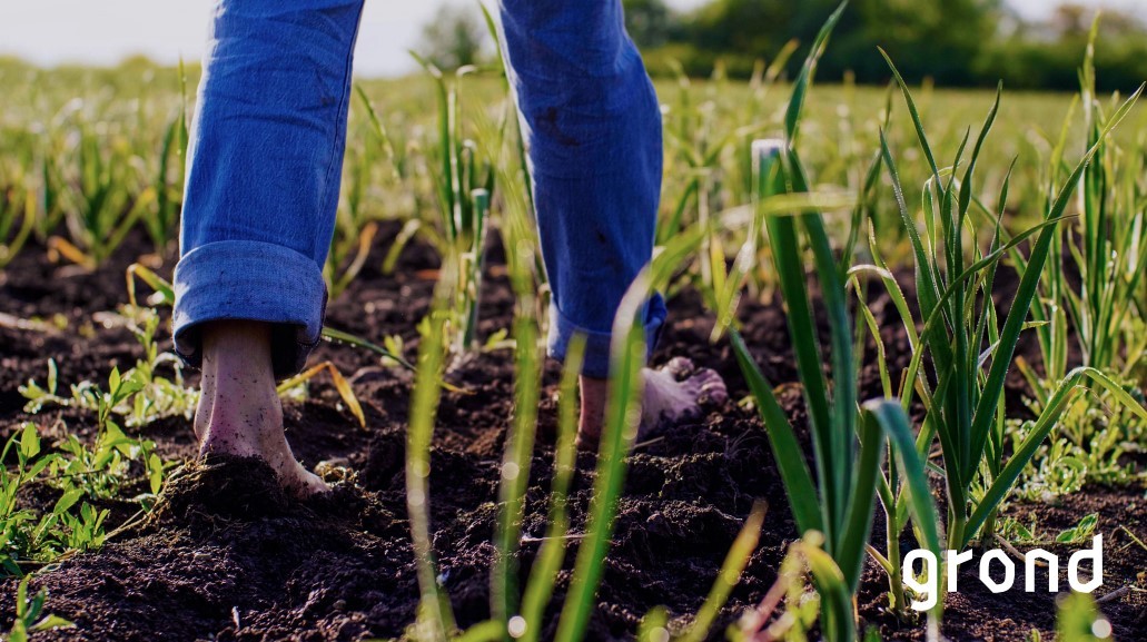 PThU_NL's tweet photo. PThU zoekt twee promovendi (fulltime), voor het project ‘Oog op de grond', naar een hedendaagse gemeentetheologie ten aanzien van grond. Bekijk de vacature. https://t.co/u9zwtudLr6 https://t.co/tyElsqLv0J